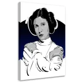 obraz-na-plotnie-leia-organa-40x60