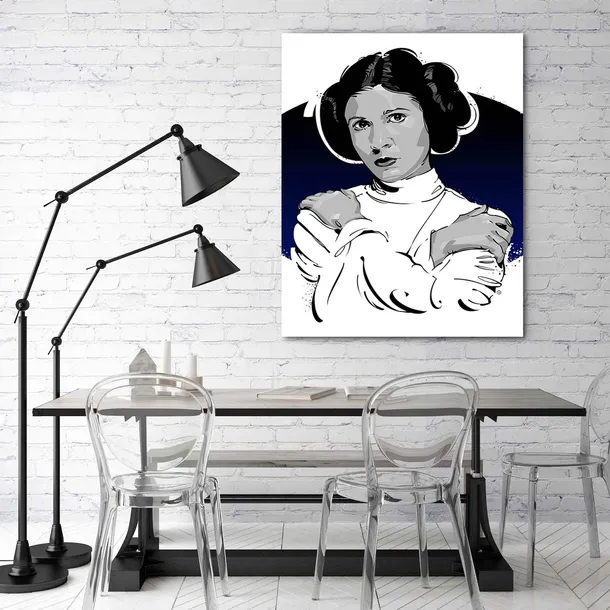 obraz-na-plotnie-leia-organa-40x60-stan-nowy