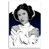 obraz-na-plotnie-leia-organa-40x60-sposob-wykonania-druk-cyfrowy