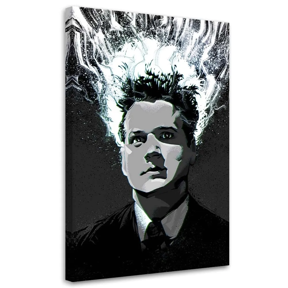 obraz-na-plotnie-glowa-do-wycierania-40x60