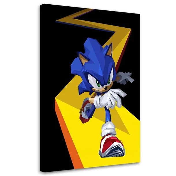 obraz-na-plotnie-sonic-40x60