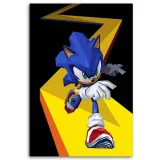 obraz-na-plotnie-sonic-40x60-sposob-wykonania-druk-cyfrowy