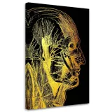 obraz-na-plotnie-artystyczna-anatomia-twarzy-40x60