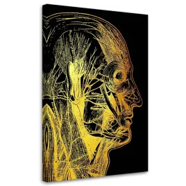 obraz-na-plotnie-artystyczna-anatomia-twarzy-40x60