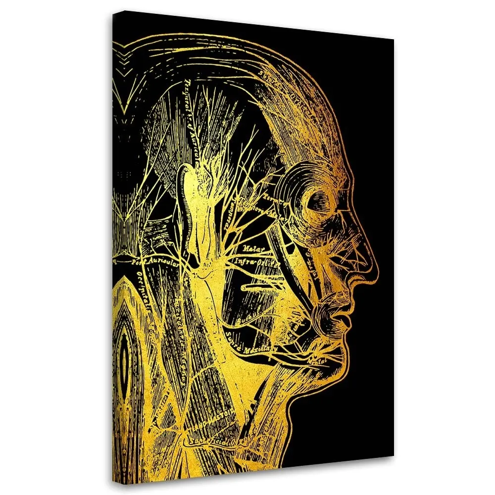 obraz-na-plotnie-artystyczna-anatomia-twarzy-40x60