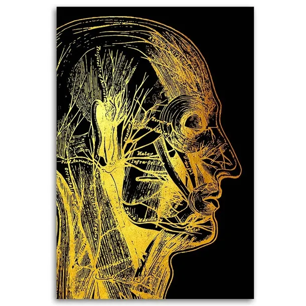 obraz-na-plotnie-artystyczna-anatomia-twarzy-40x60-sposob-wykonania-druk-cyfrowy
