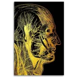 obraz-na-plotnie-artystyczna-anatomia-twarzy-40x60-sposob-wykonania-druk-cyfrowy