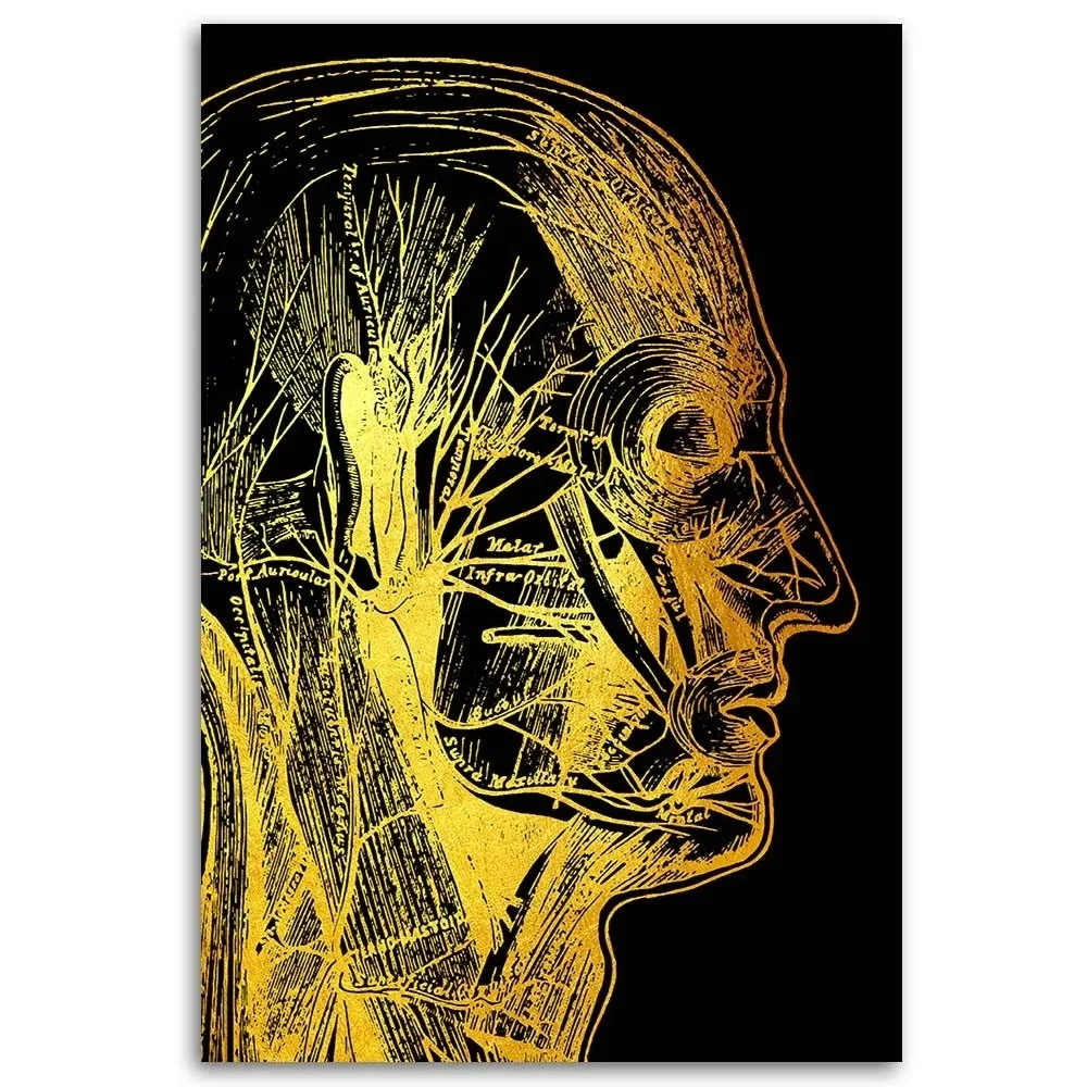 obraz-na-plotnie-artystyczna-anatomia-twarzy-40x60