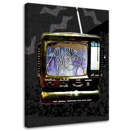 obraz-na-plotnie-sowa-w-telewizorze-40x60