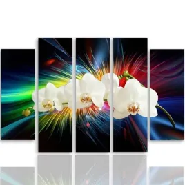 obraz-foto-5-czesci-owy-plotnie-orchidea-250x120