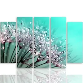 obraz-foto-5-czesci-owy-plotnie-dmuchawiec-250x120