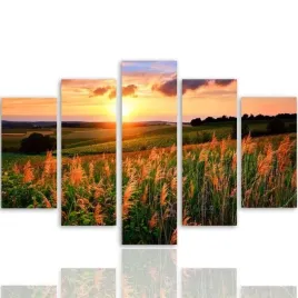 obraz-foto-5-czesci-owy-na-plotnie-polana-300x140