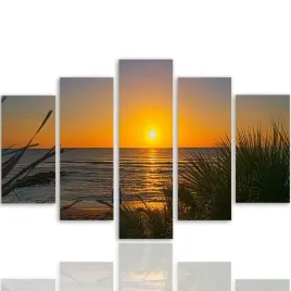 obraz-foto-5-czesci-owy-na-plotnie-slonce-250x120