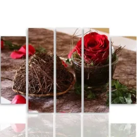 obraz-foto-5-czesci-owy-na-plotnie-roza-300x140
