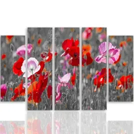 obraz-foto-5-czesci-owy-na-plotnie-maki-300x140