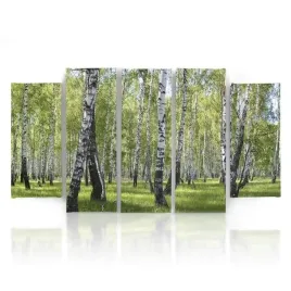 obraz-foto-5-czesci-owy-na-plotnie-brzozy-250x120