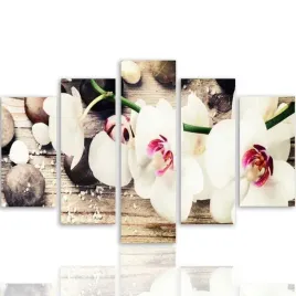 obraz-5-czesci-canvas-biala-orchidea-i-kamienie-300x140