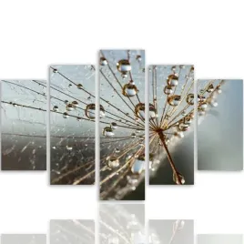 nowoczesny-obraz-foto-5-czesci-na-plotnie-300x140