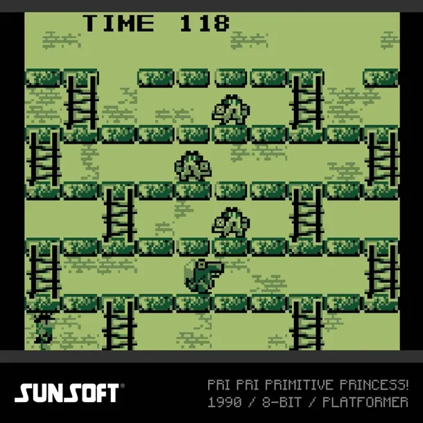 sunsoft-evercade-pudelkowa-wersja-jezykowa-angielska