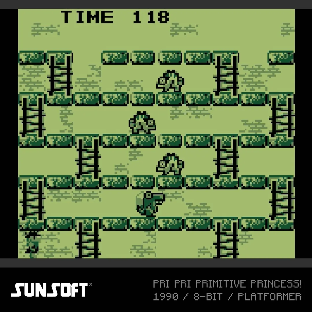 sunsoft-evercade-pudelkowa-minimalna-liczba-graczy-1