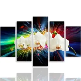 nowoczesny-obraz-5-czesci-canvas-biala-orchidea-300x140