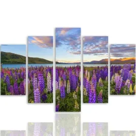 nowoczesny-obraz-5-czesci-canvas-lawendowe-pole-300x140