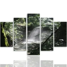 nowoczesny-obraz-5-czesci-canvas-las-brodnowski-300x140