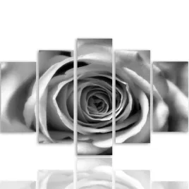 nowoczesny-obraz-5-czesci-canvas-kwiat-rozy-300x140