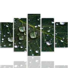 nowoczesny-obraz-5-czesci-canvas-krople-na-lisciu-300x140