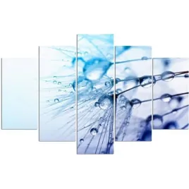 nowoczesny-obraz-5-czesci-canvas-krople-dmuchawiec-300x140