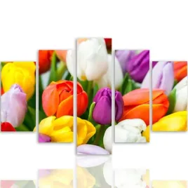 nowoczesny-obraz-5-czesci-canvas-kolorowe-tulipany-300x140