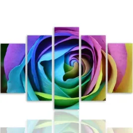 nowoczesny-obraz-5-czesci-canvas-kolorowa-roza-300x140