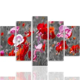 nowoczesny-obraz-5-czesci-canvas-czerwone-maki-300x140