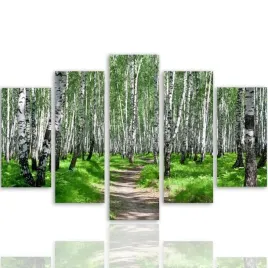 nowoczesny-obraz-5-czesci-canvas-brzozowy-las-2-300x140