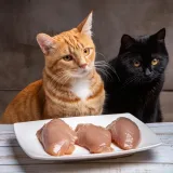 pro-plan-kitten-kurczak-15kg-marka-purina-pro-plan