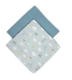 canpol-pieluszki-muslinowe-70x70cm-2szt-niebieski