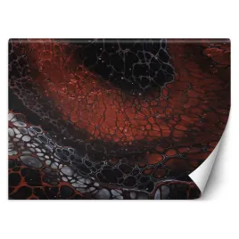 fototapeta-planeta-ziemia-mayuko-miura-450x315
