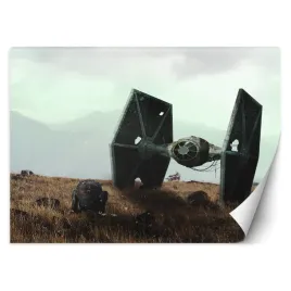 fototapeta-ladowanie-na-ziemi-zehem-chong-450x315