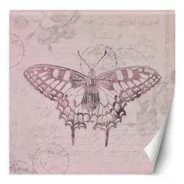 fototapeta-motyl-na-rozowym-tle-andrea-haase-300x300