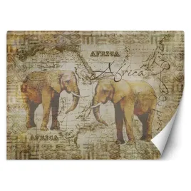 fototapeta-stara-mapa-i-slonie-vintege-andrea-haase-450x315