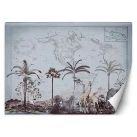 fototapeta-stara-mapa-i-sawanna-andrea-haase-450x315