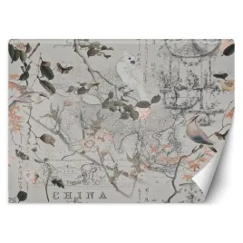 fototapeta-stara-mapa-i-ptaki-andrea-haase-450x315