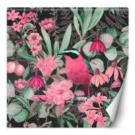 fototapeta-kolorowy-ptak-natura-zwierzeta-andrea-haase-300x300