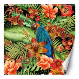 fototapeta-ptak-natura-zielone-i-pomaranczowe-liscie-andrea-haase-300x300