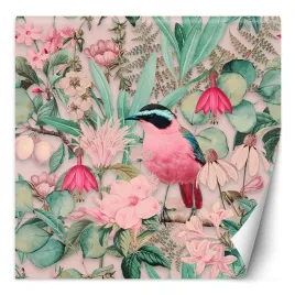 fototapeta-rozowy-ptak-natura-andrea-haase-300x300