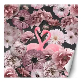 fototapeta-rozowe-flamingi-rozowe-kwiaty-andrea-haase-300x300