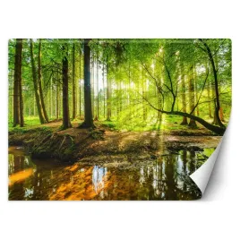 fototapeta-strumien-w-lesie-o-wschodzie-slonca-450x315