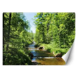 fototapeta-rzeka-w-zielonym-lasku-200x140