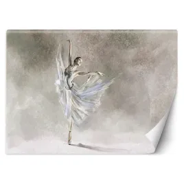 fototapeta-piruet-baletnicy-200x140