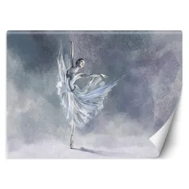 fototapeta-piruet-baletnicy-450x315